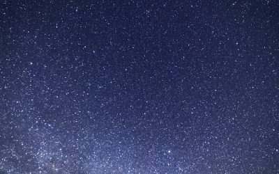 RODNIK. Sztuki altenatywne – 14/15 maja 2022, godz. 0.00