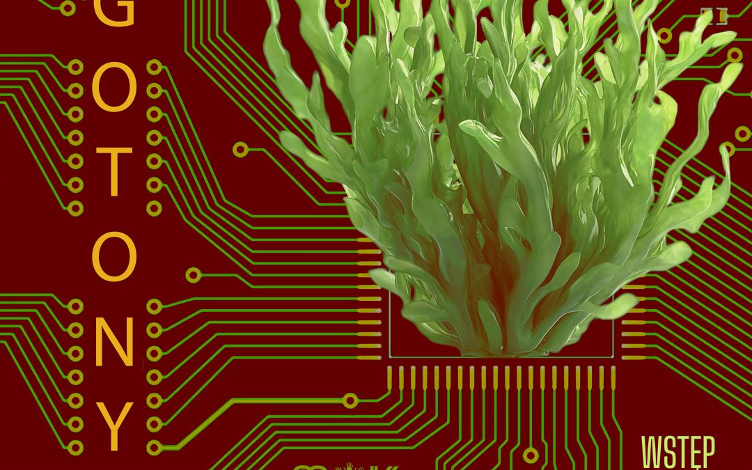 Koncert ALGOTONY – 16 stycznia 2026, godz. 19:00