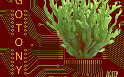 Koncert ALGOTONY – 16 stycznia 2026, godz. 19:00